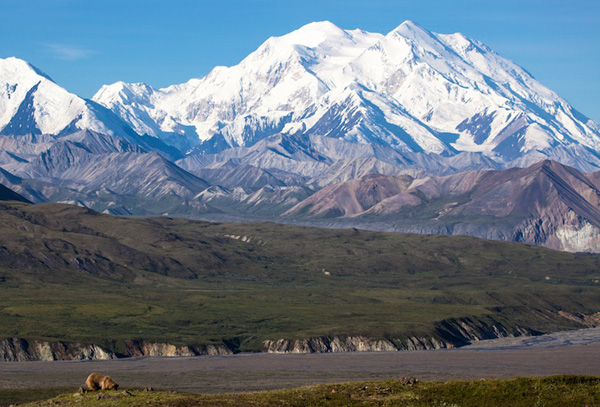 write and add your names on photo of usa Denali National Park denali national park - write and add your names on photo of usa Denali National Park