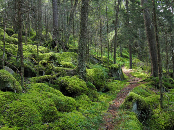 write and add your names on photo of usa Great Smoky Mountains National Park great smoky mountains natio - write and add your names on photo of usa Great Smoky Mountains National Park