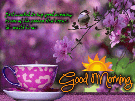 Gif good morning nice day for you good morning - Gif good morning nice day for you good morning