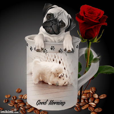 Https Encrypted Tbn0 Gstatic Com Images Q Tbn 3aand9gcqxuygftfujmnuh4edkcw6exvnmrkxxwxufpbv Ko9wlwdn2lxt Usqp Cau