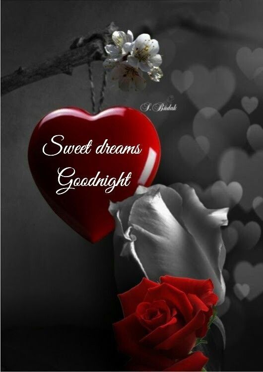 Best Good Night Message Photo Gifaya
