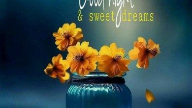 Best good night wishes quotes photo 390x220 - Best good night wishes quotes photo