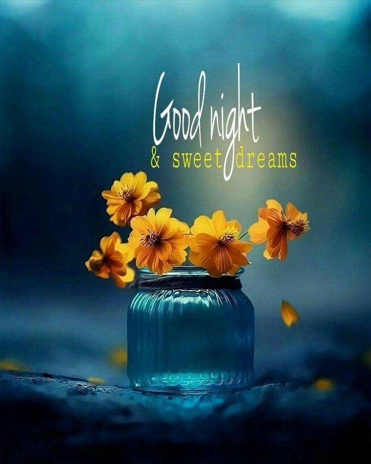 Best good night wishes quotes photo - Best good night wishes quotes photo