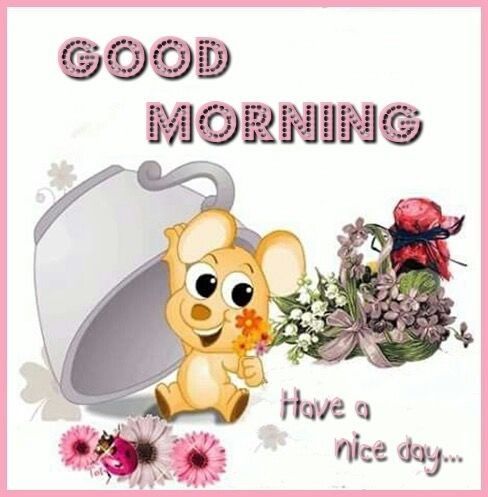 Cool Good Morning Images Good Morning Image Gifaya