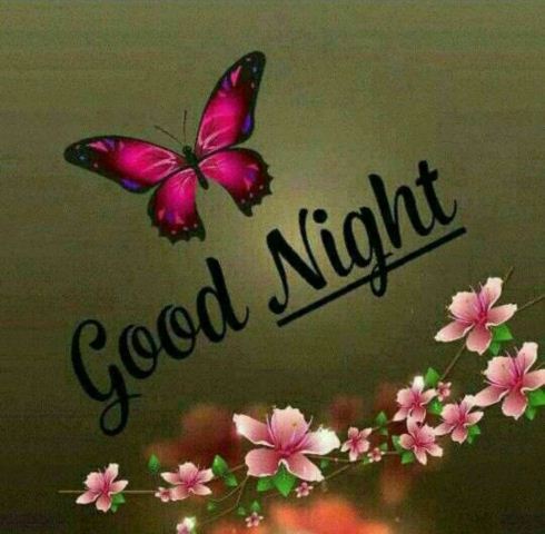 Cute Good Night Messages Photo Gifaya