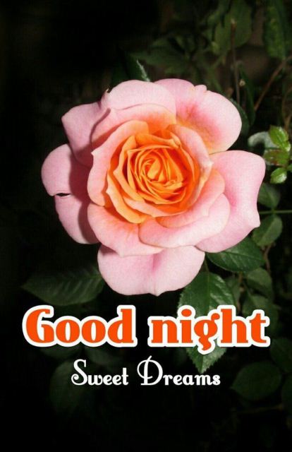 Cute Good Night Sms Photo Gifaya