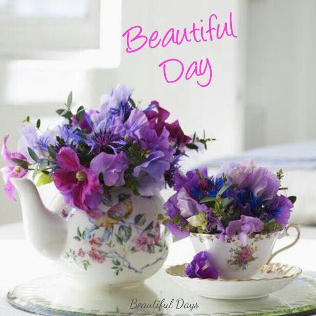 Good Morning Beautiful Video Good Morning Image Gifaya