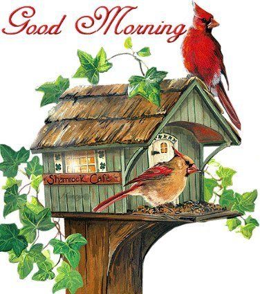 Good morning good morning video good morning image - Good morning good morning video good morning image