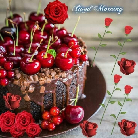 Good Morning Show Today Good Morning Image Gifaya