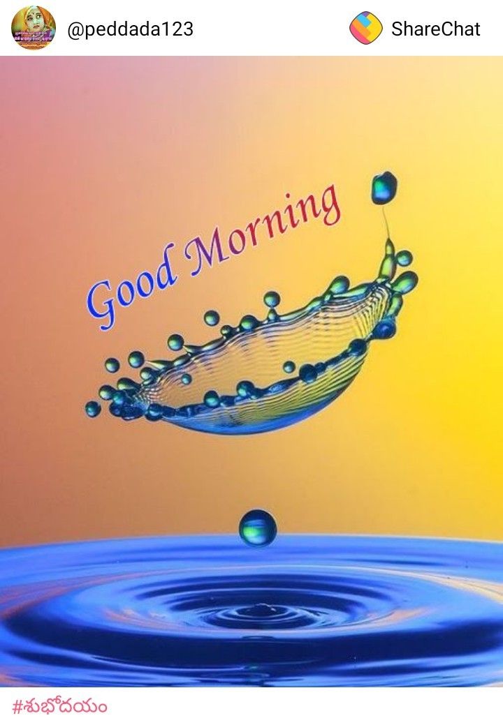 Good Morning Image Download Sharechat