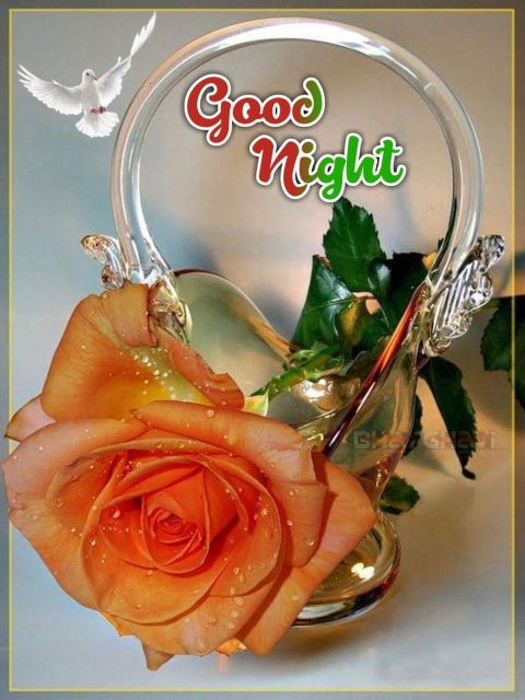 Good Night Friends Pic Photo Gifaya