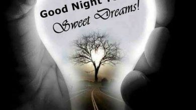 Good night sms for her photo 390x220 - Good night sms for her photo