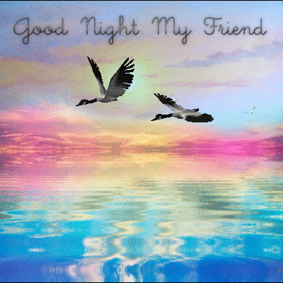 Https Encrypted Tbn0 Gstatic Com Images Q Tbn 3aand9gctyf6p8flco4twp06n9lhahzkkvgrmehrblctu22dhgy41tswim