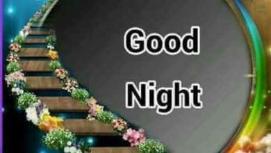 Good night special image photo 390x220 - Good night special image photo