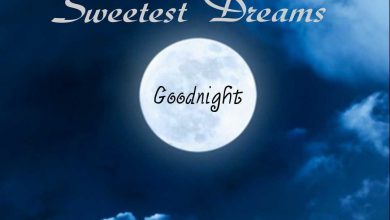 Good night sweet dreams quotes photo 390x220 - Good night sweet dreams quotes photo