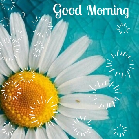 Morning Special Good Morning Image Gifaya