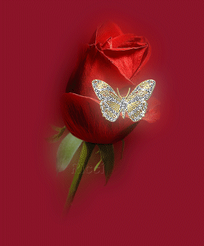 Animated Gif Maker romantic gif flowers Animated Gif Maker romantic gif flowers 1 - Animated Gif Maker romantic gif flowers