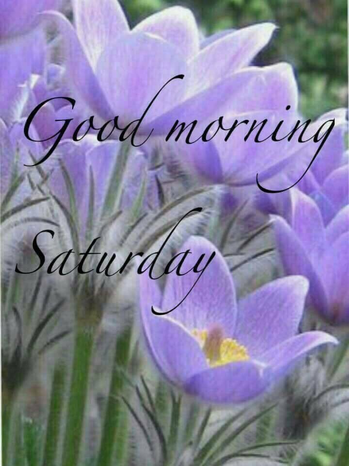 Beautiful Sunday Good Morning Images Saturday images gifaya