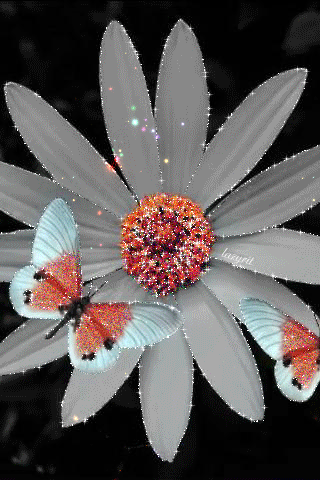 Flower Gif romantic gif flowers Flower Gif romantic gif flowers - Flower Gif romantic gif flowers