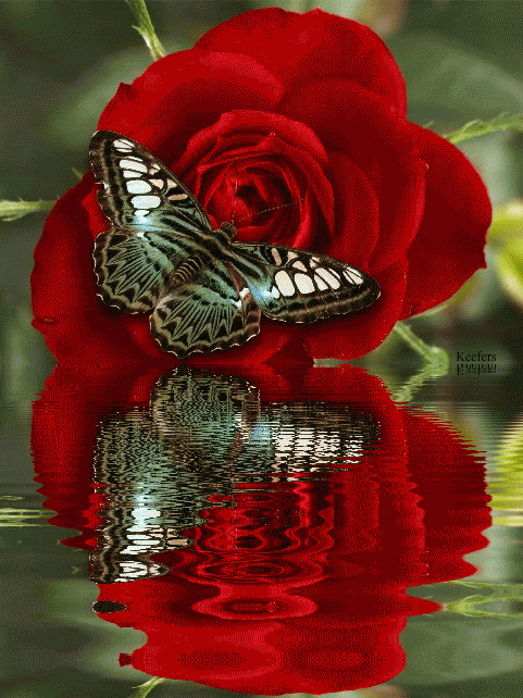 Gif Instagram romantic gif flowers Gif Instagram romantic gif flowers - Gif Instagram romantic gif flowers