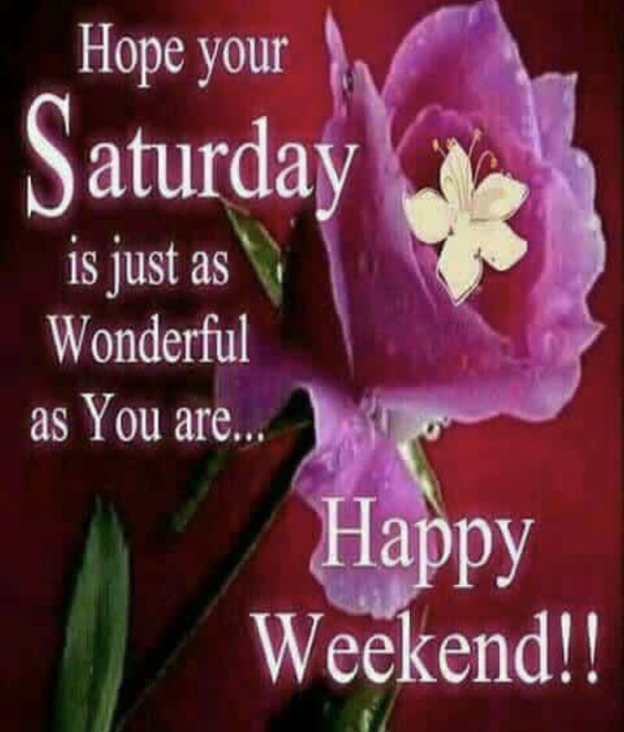 Happy Sunday Good Morning Quotes Saturday Images Gifaya