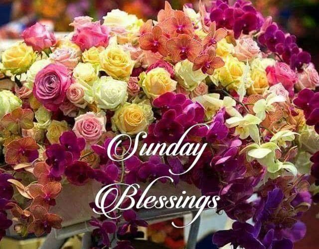 Happy Sunday Wishes Text Sunday images and quotes 640x500 - Happy Sunday Wishes Text Sunday images and quotes