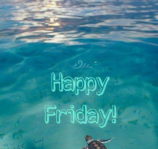 Have A Nice Friday Friday images 530x500 - Have A Nice Friday Friday images