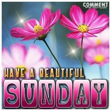 Have A Nice Sunday Sunday images and quotes - Have A Nice Sunday Sunday images and quotes