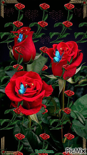 Horror Gif romantic gif flowers - Horror Gif romantic gif flowers