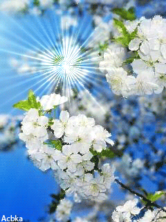 Image Gif romantic gif flowers Image Gif romantic gif flowers - Image Gif romantic gif flowers