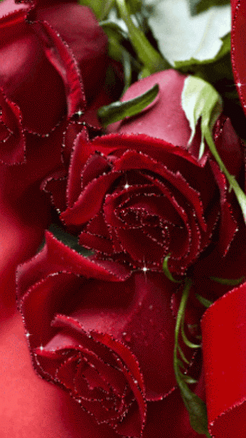 Moving Gifs romantic gif flowers Moving Gifs romantic gif flowers - Moving Gifs romantic gif flowers