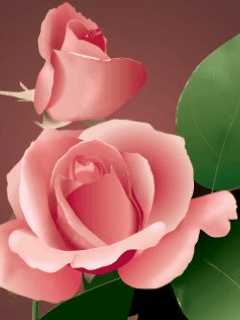 Powerpoint Flower Animation romantic gif flowers Powerpoint Flower Animation romantic gif flowers - Powerpoint Flower Animation romantic gif flowers