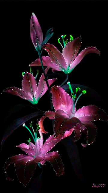 Rain Gif romantic gif flowers Rain Gif romantic gif flowers - Rain Gif romantic gif flowers
