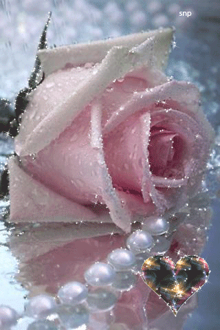 Spider Gif romantic gif flowers Spider Gif romantic gif flowers - Spider Gif romantic gif flowers