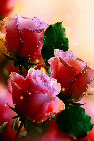 Twitter Gif romantic gif flowers Twitter Gif romantic gif flowers - Twitter Gif romantic gif flowers